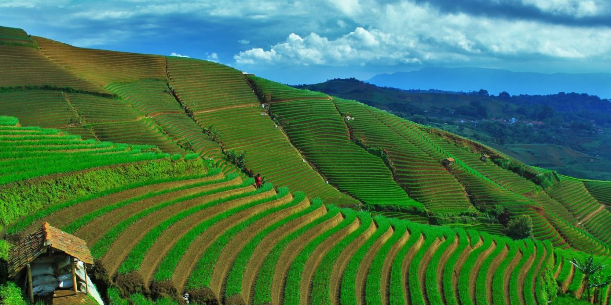 Panyaweuyan
